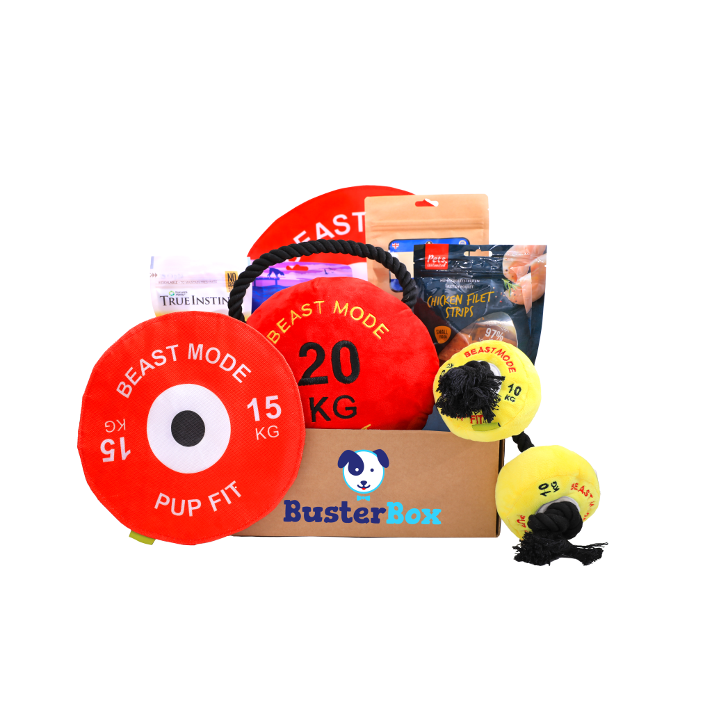 BusterBox full of treats and goodies for your dog