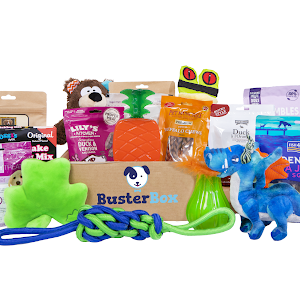 BusterBox Tasty Treats and Tough Toys
