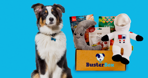 BusterBox Dog Subscription Box