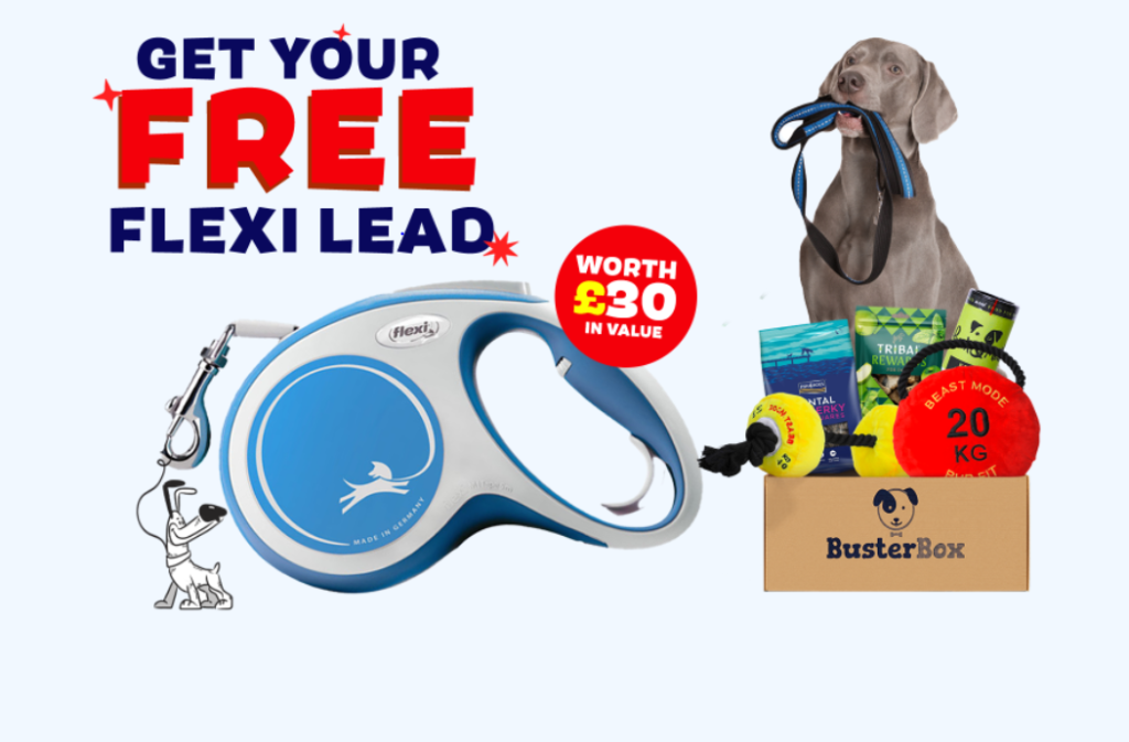 BusterBox Free Flexi Lead 