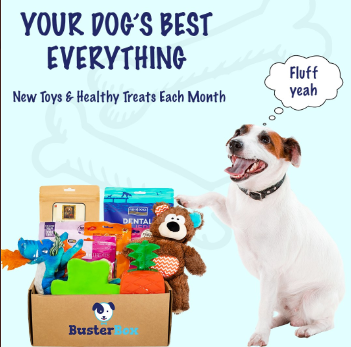 dog happy with BusterBox value