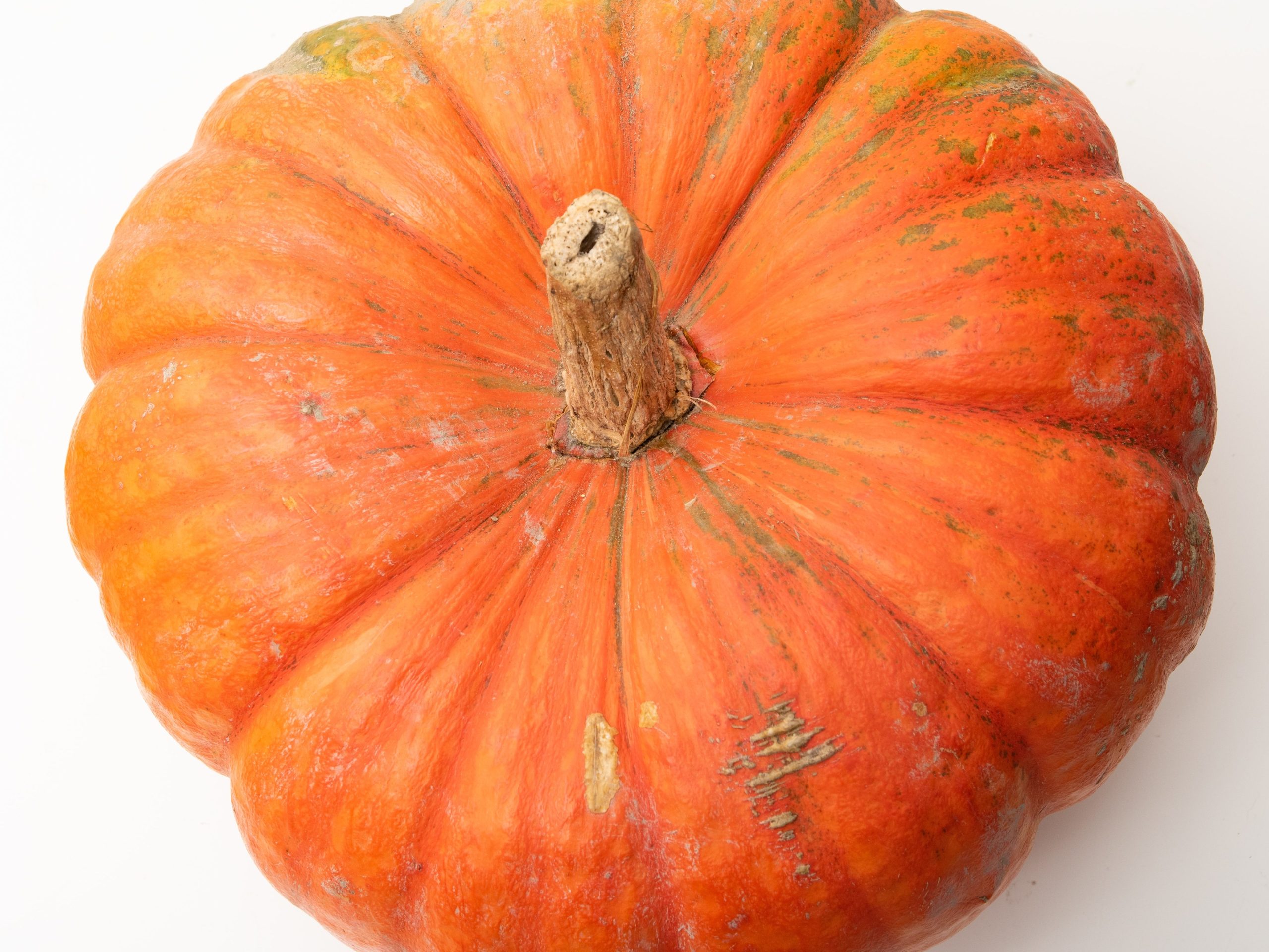busterbox pumpkin is a great source of fiber for dogs 