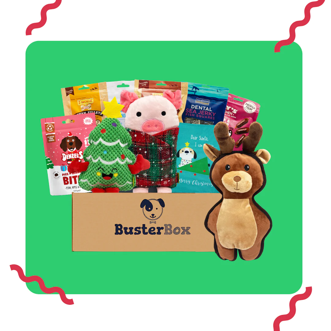 https://busterbox.com/blog/wp-content/uploads/2022/12/Best-Christmas-Toys.webp