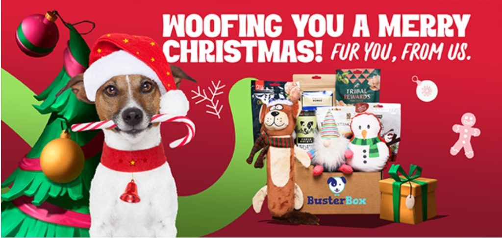 BusterBox Christmas Theme Dog Treat Box
