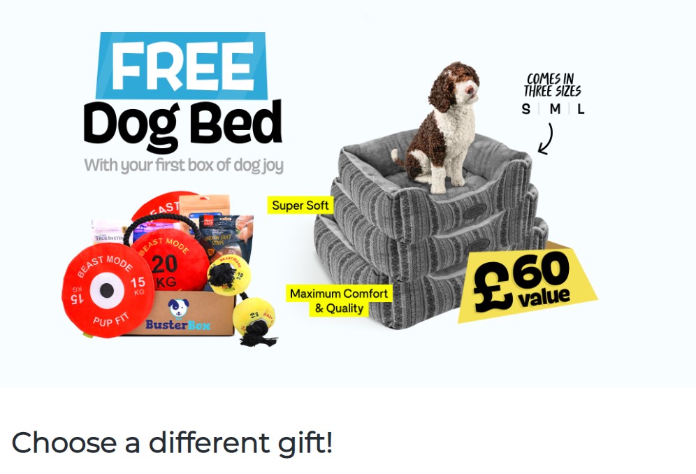 BusterBox Free Dog Bed Subscription Box Benefit