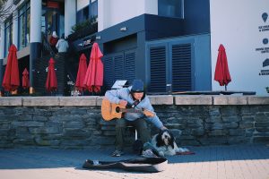 The relationship between dogs and music