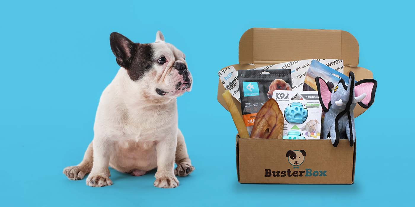 BusterBox – A Monthly Box Of Dog Goodies