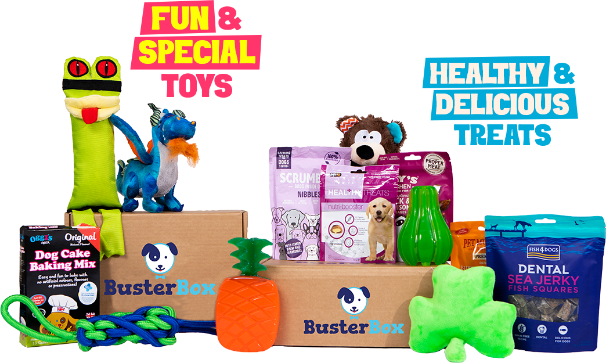 The Monthly Dog Toy And Treat Box