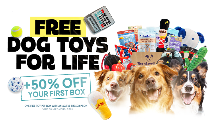 Free dog shop subscription box